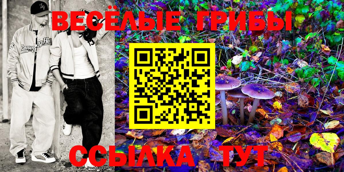 Псилоцибиновые грибы Psilocybine cubensis  Вход с VPN  Феодосия 