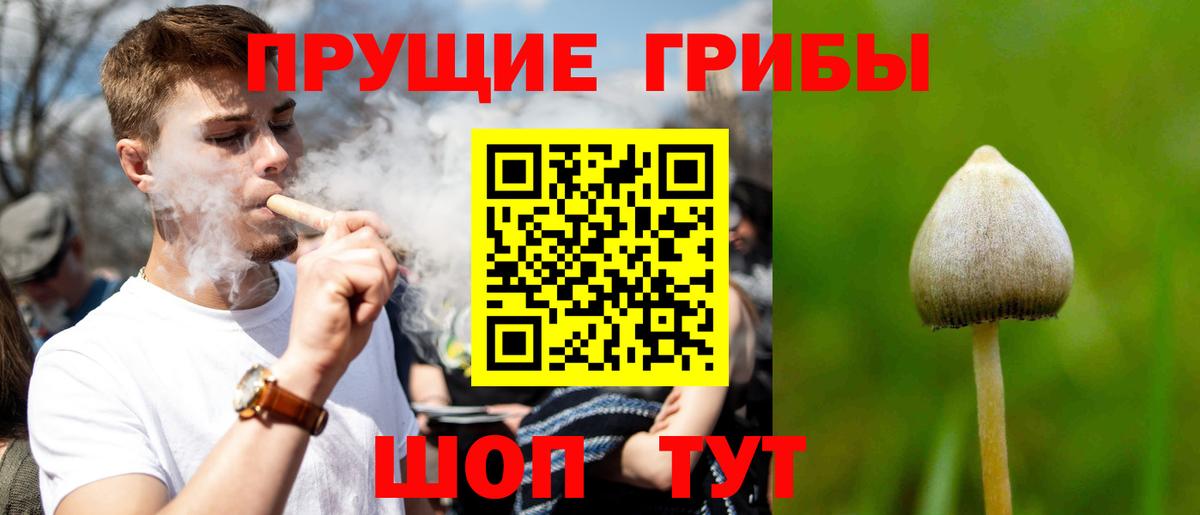Галлюциногенные грибы Psilocybe Феодосия